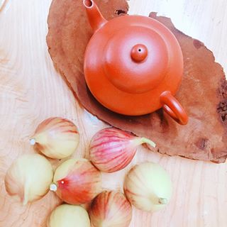 什么茶适合养壶