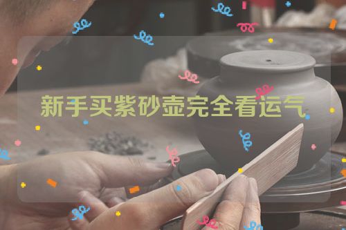 新手买紫砂壶完全看运气