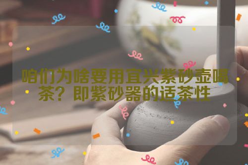咱们为啥要用宜兴紫砂壶喝茶?即紫砂器的适茶性