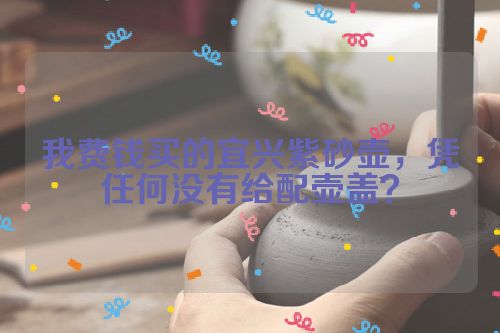我费钱买的宜兴紫砂壶,凭任何没有给配壶盖?