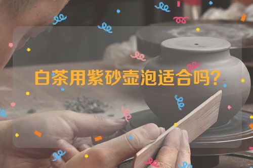 白茶用紫砂壶泡适合吗?