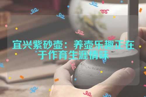 宜兴紫砂壶:养壶乐趣正在于作育生涯情味