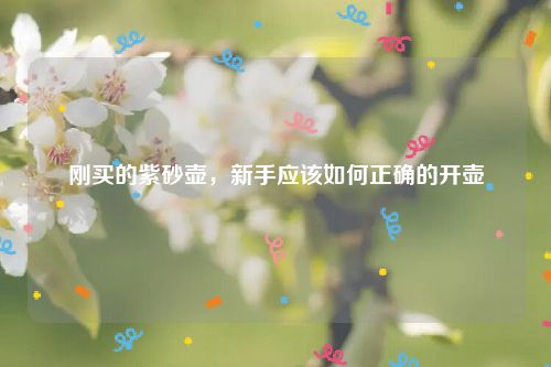 刚买的紫砂壶,新手应该如何正确的开壶