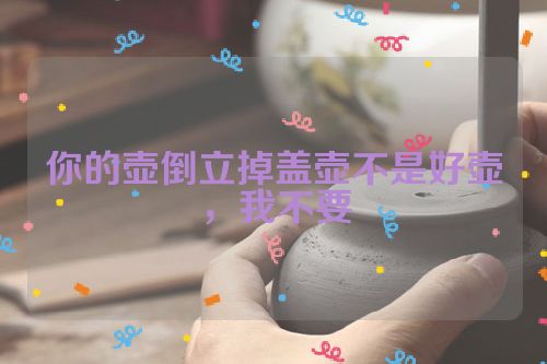 你的壶倒立掉盖壶不是好壶,我不要