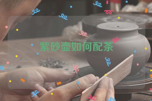 紫砂壶如何配茶