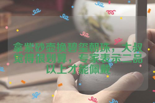 拿紫砂壶换碧玺朝珠,大叔觉得很划算,专家表示二品以上才能佩戴