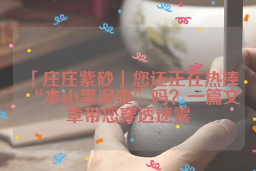 「庄庄紫砂」您还正在热捧“本山黑泥壶”吗?一篇文章带您穿透迷雾