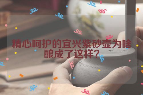 精心呵护的宜兴紫砂壶为啥酿成了这样?