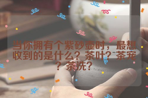 当你拥有个紫砂壶时,最想收到的是什么?茶叶?茶宠?茶洗?
