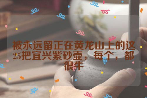 被永远留正在黄龙山上的这25把宜兴紫砂壶,每个,都很牛